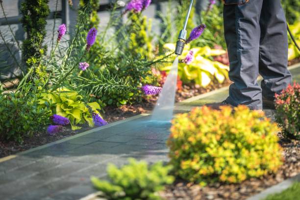 Professional Pressure Washing Services in Seminole Manor, FL